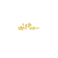 Confetti Sticker by amazonlive