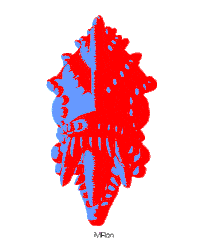 Rainbow 3D Sticker by Miron