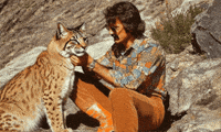 Mountain Lion Cat GIF by Jukebox Saints