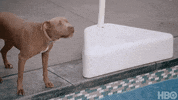 Los Angeles Football GIF by NFL