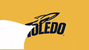 Home Run GIF by Toledo Rockets
