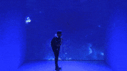 Tonight Show Rap GIF by The Tonight Show Starring Jimmy Fallon