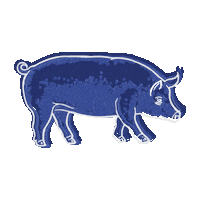 Pig Bacon Sticker by pabaconfest