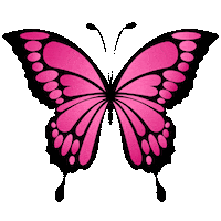 Butterfly Sticker by Bel Diniz