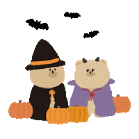 Trick Or Treat Halloween Sticker