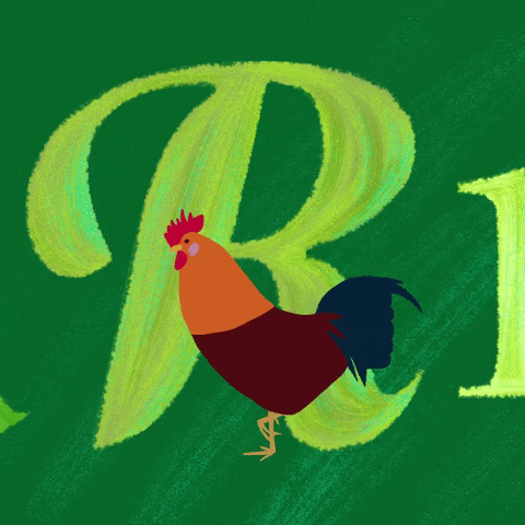 2d animation rooster GIF by Atelier Enot