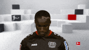 Bayer 04 Hello GIF by Bundesliga
