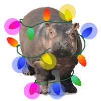 Festival Of Lights Christmas Sticker by Cincinnati Zoo