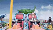 Roller Coaster Sigh GIF by Xbox