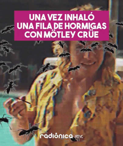 radionicadertvc giphyupload ozzyosbourne las50deozzyosbourne GIF