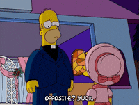 homer simpson episode 10 GIF