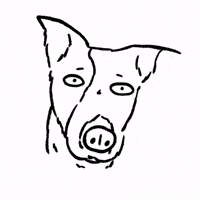 Surprised Dog GIF by butpoorlydrawn