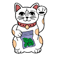 cat hello Sticker by TEALER