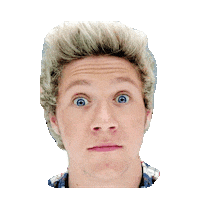 niall horan GIF by imoji