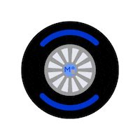 Racing F1 Sticker by Meridian°