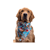 Little Mermaid Disney Sticker by Geekster Pets