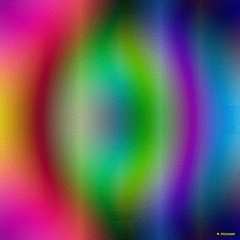 michelpoisson giphyupload GIF