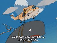 episode 19 GIF