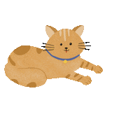 Cat Kitty Sticker