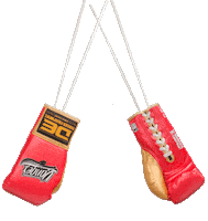 Boxing Danger Sticker by Danger-equipment