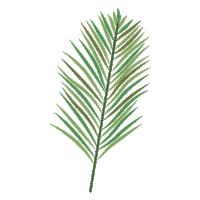 party summer Sticker by Novanda Prayogatama