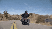 Brand Adventure GIF by Harley-Davidson