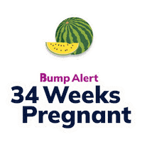 Pregnancy Expecting Sticker by The Bump