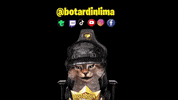 botardin live gato peru vtuber GIF