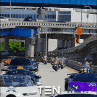 Miami Florida GIF by The Exotics Network