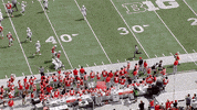 Buckeyes Football GIF by Ohio State Athletics