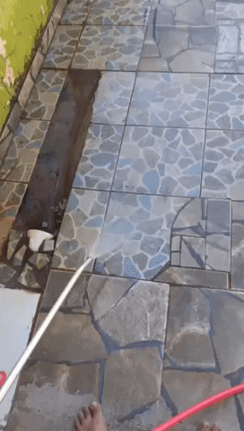 Gif6a5e giphyupload GIF