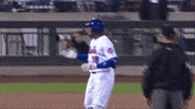 sny_tv celebrate point mets lfgm GIF