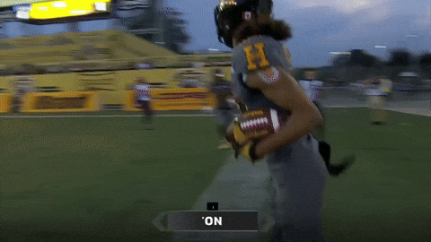Tiger-Cats Touchdown GIF by Hamilton Sports Group