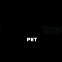 tailwagginuae tailwaggin GIF