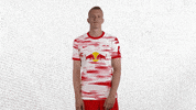 Bored Football GIF by RB Leipzig