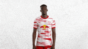 Football No GIF by RB Leipzig