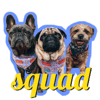 Border Terrier Sticker by Morty The Pug