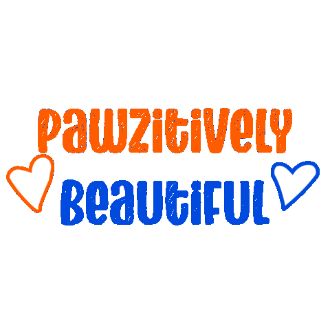 Cat Dog Sticker by Pawzitively Beautiful