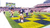 Navy Football GIF by Navy Athletics