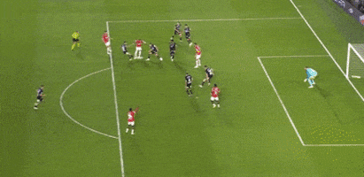 petrfrmel giphyupload GIF