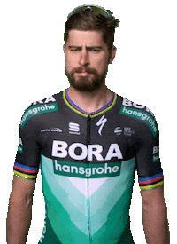 Peter Sagan No Sticker by Specialized Bicycles