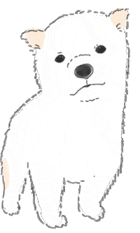 himakoyo shiba shibainu 柴犬 mameshiba Sticker