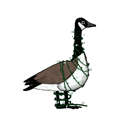 Birdtalk Sticker by girlinwhiteglasses