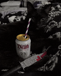 Black Cat GIF