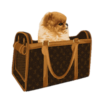 Louis Vuitton Dog Sticker