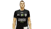 Pride Handball Sticker by HCB Karviná