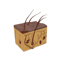 Magic Skincare Sticker by Ritual Body Wellness