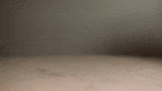 Win Big Fill Up GIF by Big Cork Vineyards