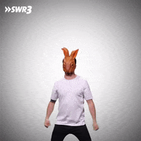 Dance Bunny GIF by SWR3