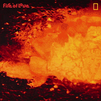 National Geographic Film GIF by Nat Geo Wild
